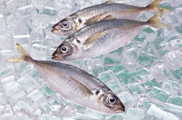 青島冷凍魚(yú)進(jìn)口清關(guān)實(shí)用知識(shí)，建議看看_副本.jpg
